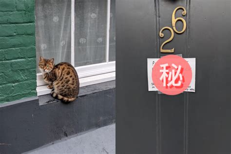 貓進家門 葫蘆掛門口